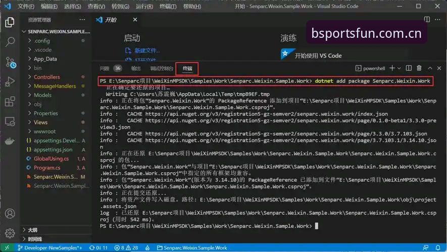 BSports平台下载 vs 官网app：哪种BSports娱乐入口攻略更适合你？